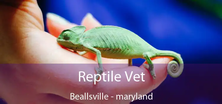 Reptile Vet Beallsville - maryland