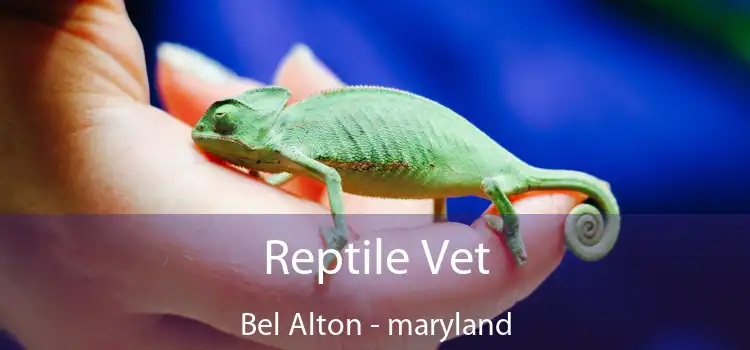 Reptile Vet Bel Alton - maryland