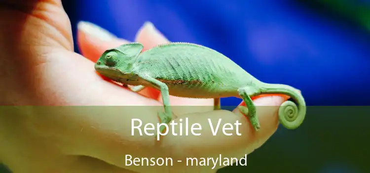 Reptile Vet Benson - maryland