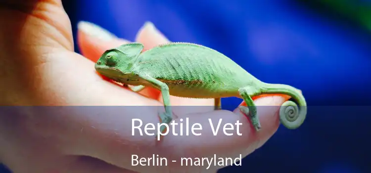 Reptile Vet Berlin - maryland