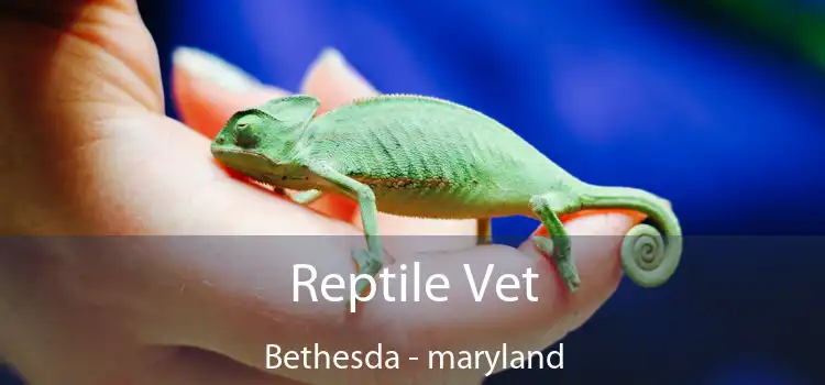 Reptile Vet Bethesda - maryland