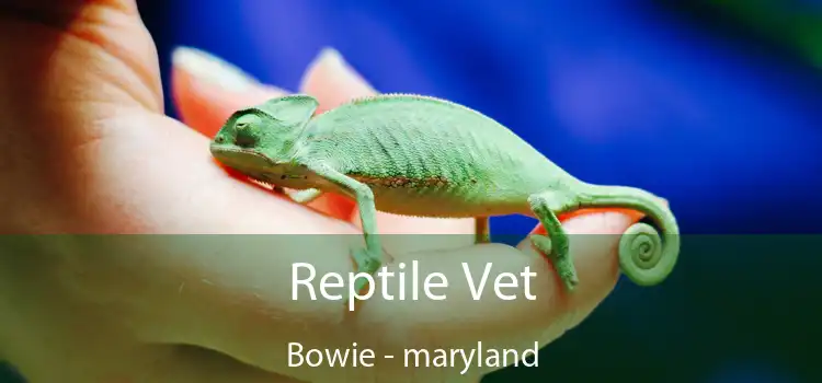 Reptile Vet Bowie - maryland