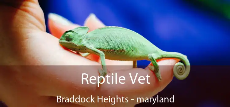 Reptile Vet Braddock Heights - maryland