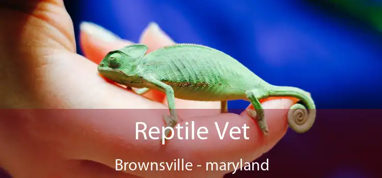 Reptile Vet Brownsville - maryland