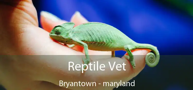 Reptile Vet Bryantown - maryland