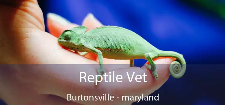 Reptile Vet Burtonsville - maryland