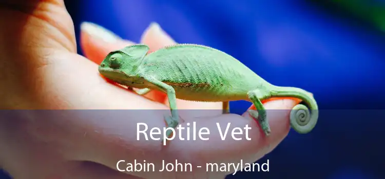 Reptile Vet Cabin John - maryland