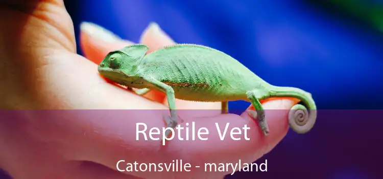 Reptile Vet Catonsville - maryland