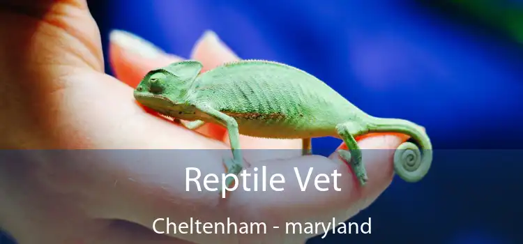 Reptile Vet Cheltenham - maryland