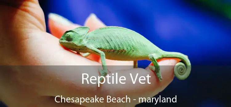 Reptile Vet Chesapeake Beach - maryland