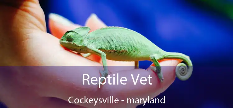 Reptile Vet Cockeysville - maryland