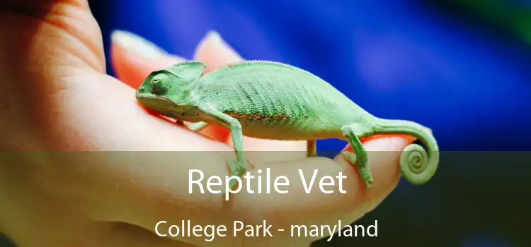 Reptile Vet College Park - maryland