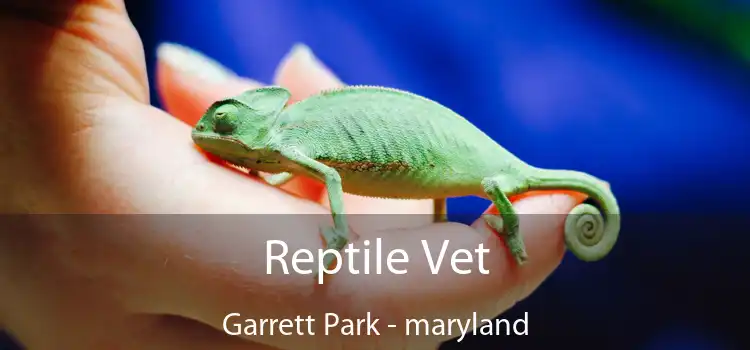 Reptile Vet Garrett Park - maryland