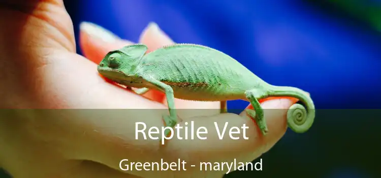 Reptile Vet Greenbelt - maryland