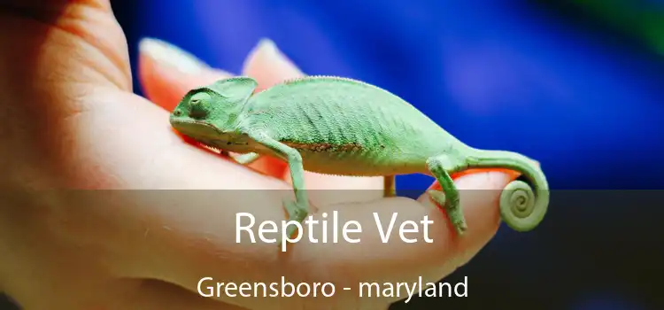 Reptile Vet Greensboro - maryland