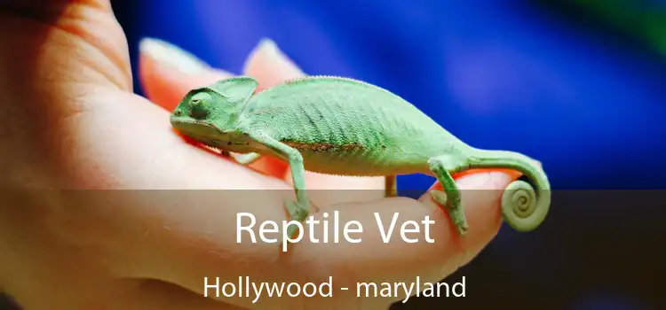 Reptile Vet Hollywood - maryland