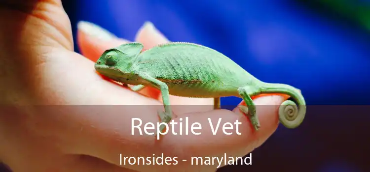 Reptile Vet Ironsides - maryland