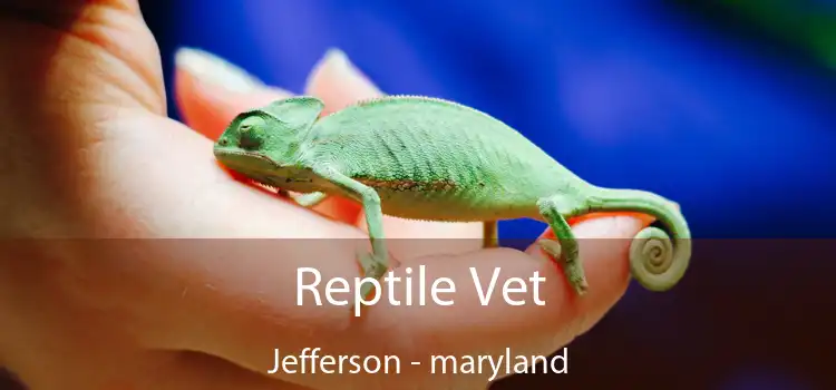 Reptile Vet Jefferson - maryland