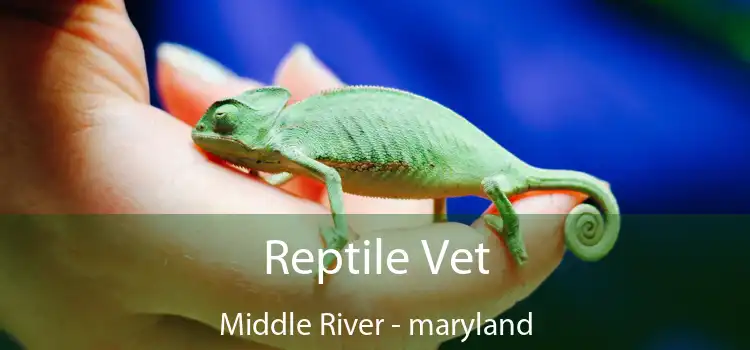 Reptile Vet Middle River - maryland