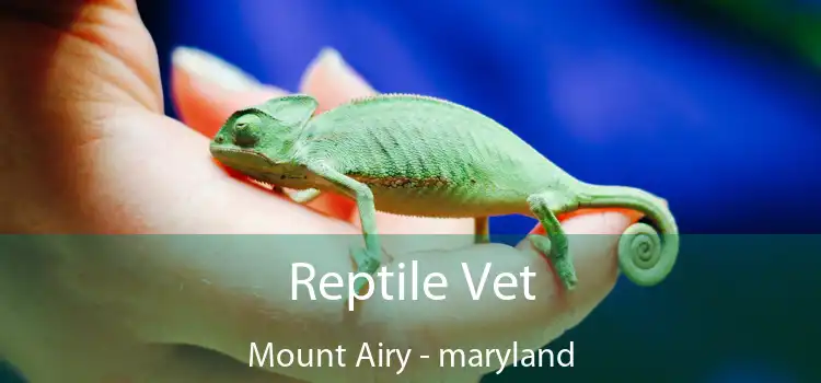 Reptile Vet Mount Airy - maryland