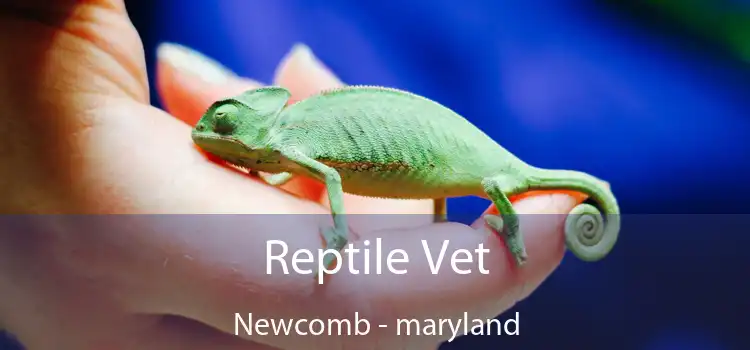 Reptile Vet Newcomb - maryland