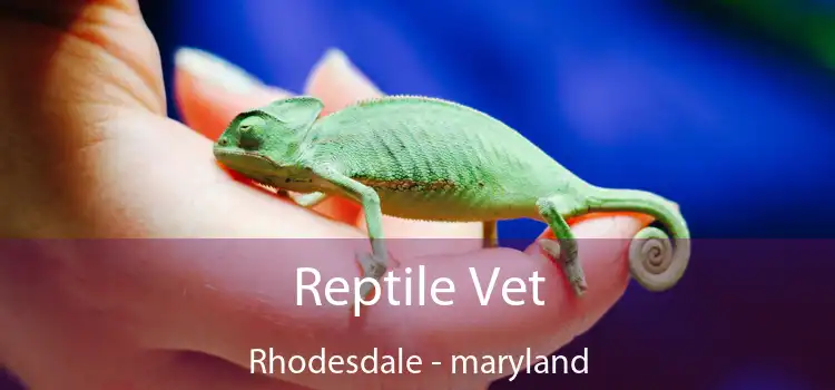 Reptile Vet Rhodesdale - maryland