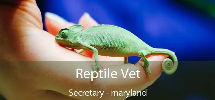 Reptile Vet Secretary - maryland