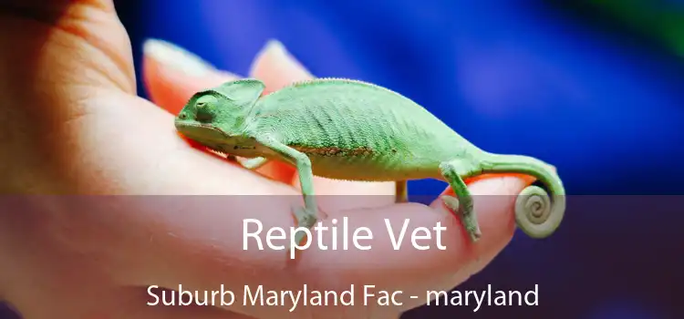 Reptile Vet Suburb Maryland Fac - maryland