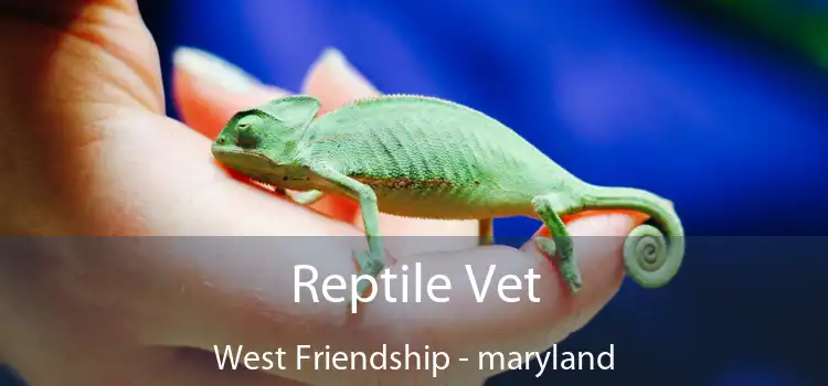 Reptile Vet West Friendship - maryland