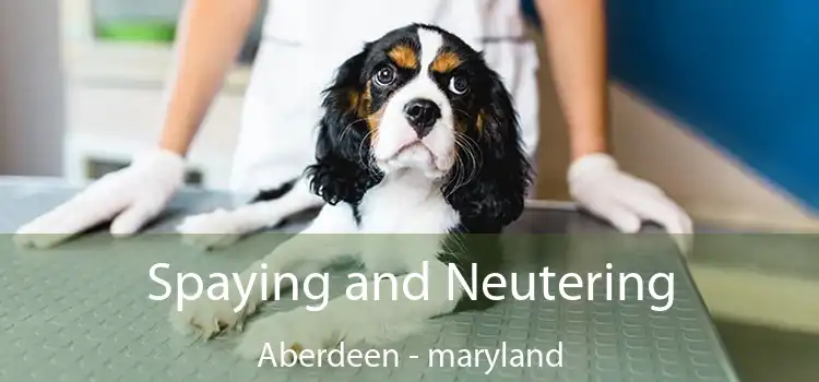 Spaying and Neutering Aberdeen - maryland