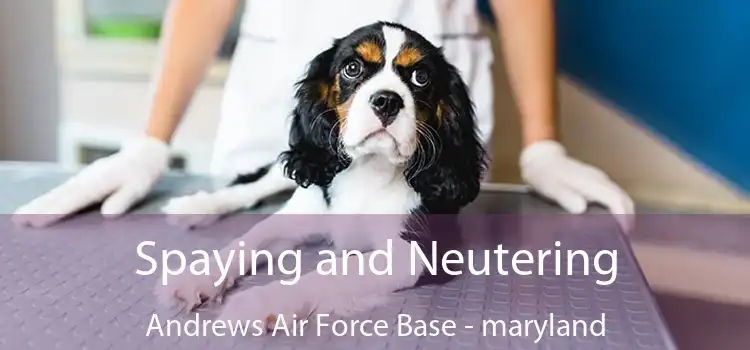 Spaying and Neutering Andrews Air Force Base - maryland