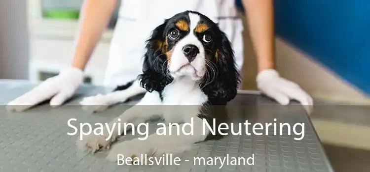 Spaying and Neutering Beallsville - maryland