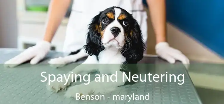 Spaying and Neutering Benson - maryland