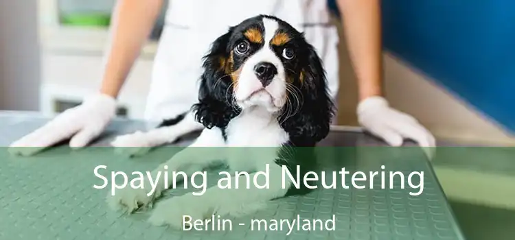 Spaying and Neutering Berlin - maryland