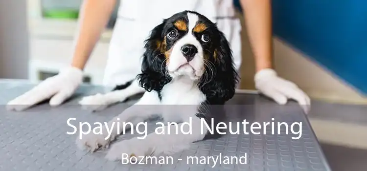 Spaying and Neutering Bozman - maryland