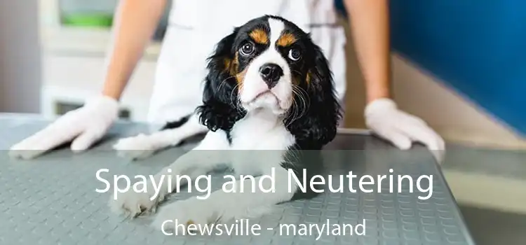 Spaying and Neutering Chewsville - maryland