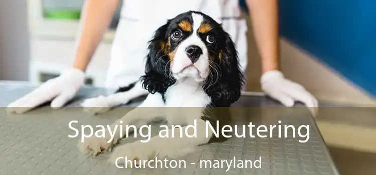 Spaying and Neutering Churchton - maryland