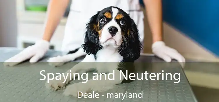 Spaying and Neutering Deale - maryland