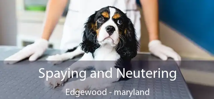 Spaying and Neutering Edgewood - maryland