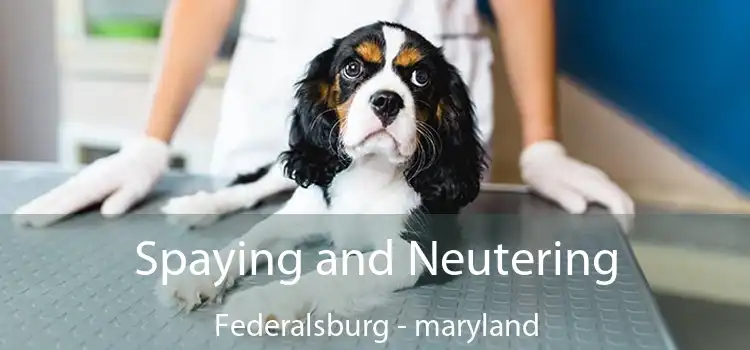 Spaying and Neutering Federalsburg - maryland