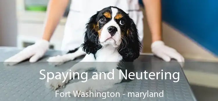 Spaying and Neutering Fort Washington - maryland