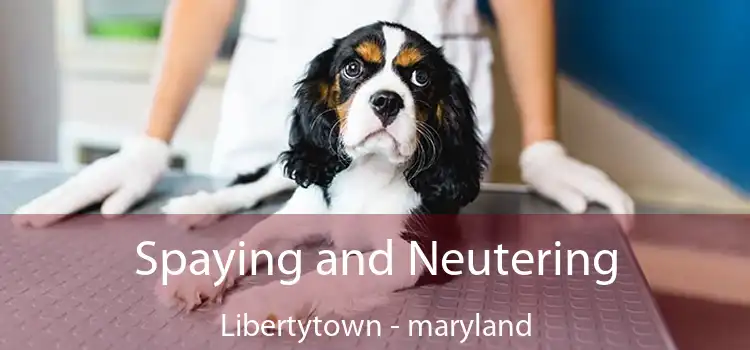 Spaying and Neutering Libertytown - maryland