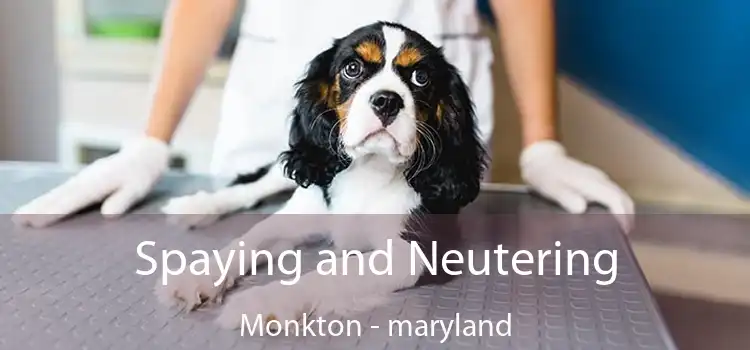 Spaying and Neutering Monkton - maryland