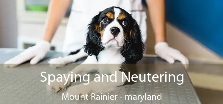 Spaying and Neutering Mount Rainier - maryland