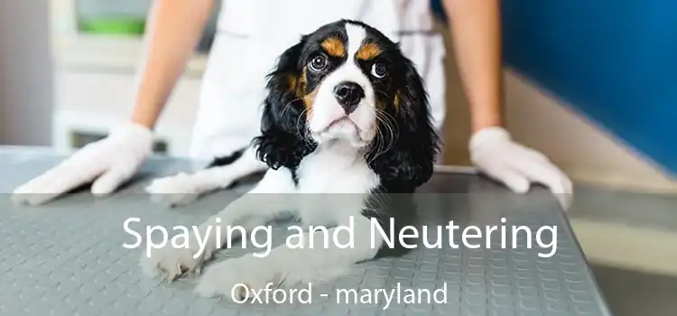 Spaying and Neutering Oxford - maryland