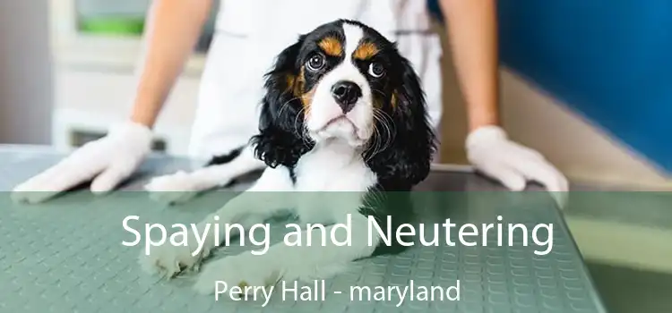 Spaying and Neutering Perry Hall - maryland