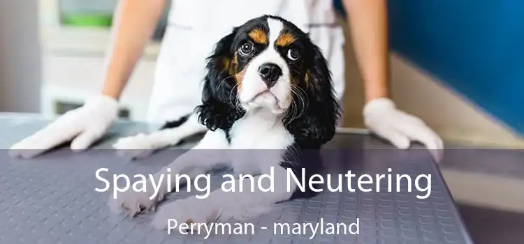 Spaying and Neutering Perryman - maryland