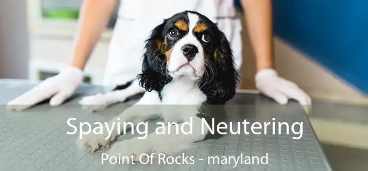 Spaying and Neutering Point Of Rocks - maryland