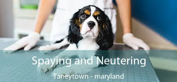 Spaying and Neutering Taneytown - maryland