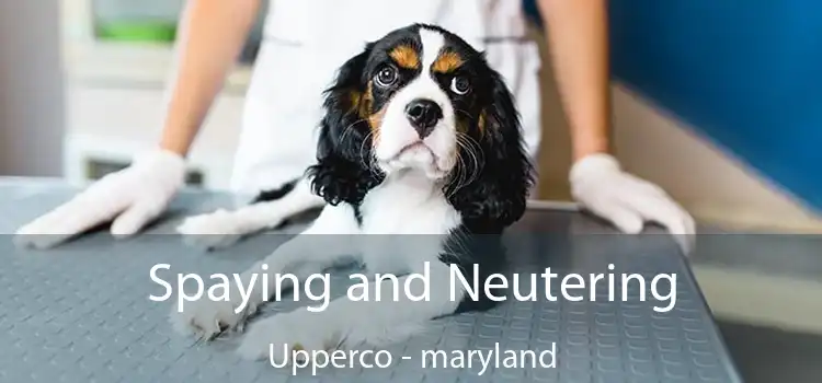 Spaying and Neutering Upperco - maryland